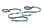 Preview: Ruffwear Crag Ex Leash Alpine Dawn Preview: Ruffwear Crag Ex Leash Alpine Dawn